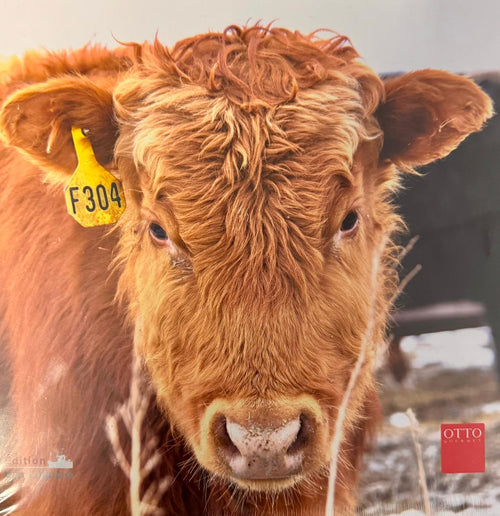 Otto Gourmet Fleisch-Weltreise