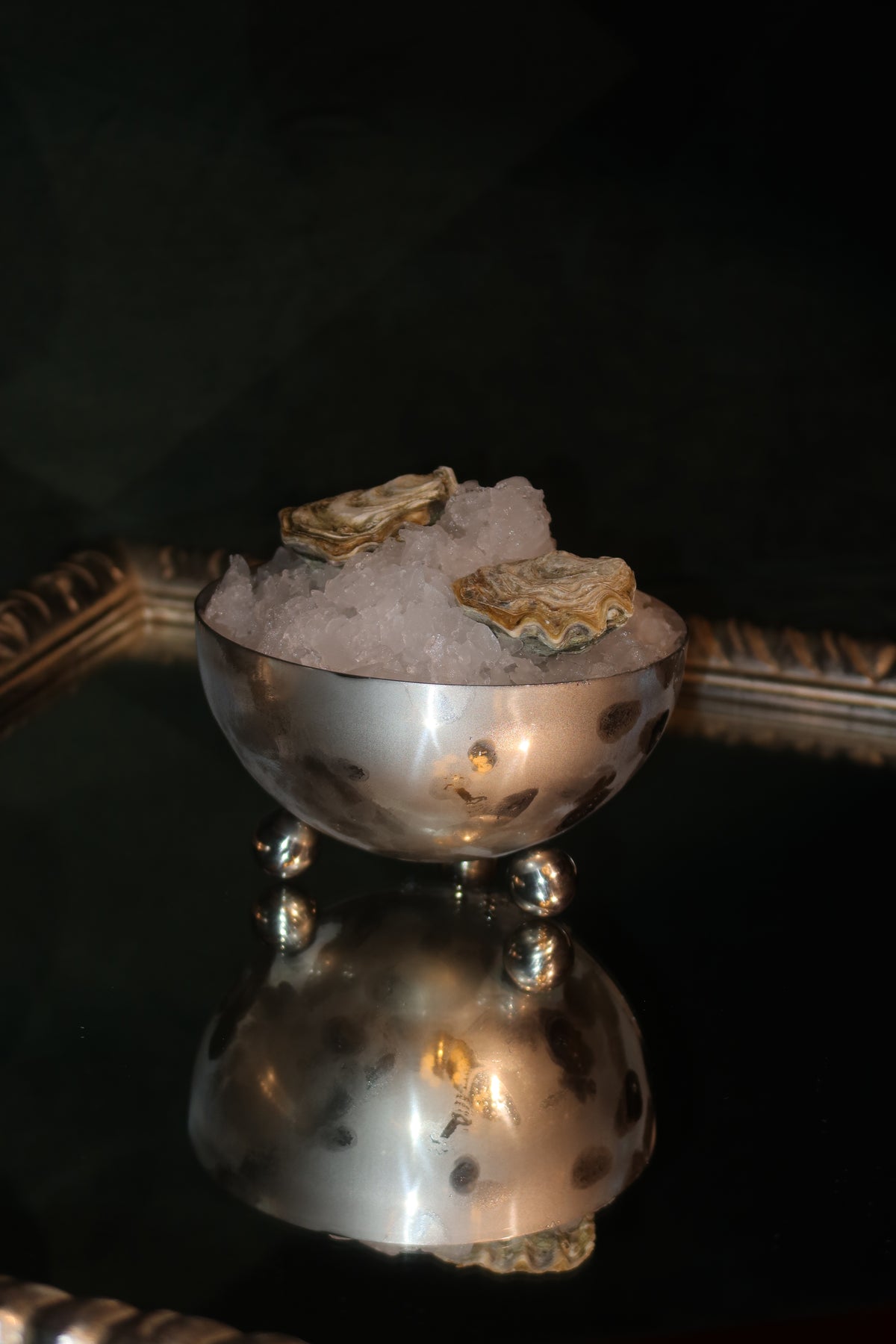 Austernmuscheln auf Eis